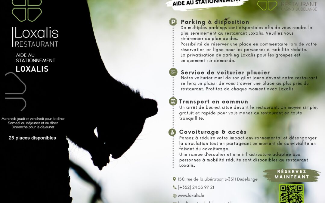 Facilitez vos Déplacements avec l&rsquo;Aide au Stationnement Loxalis